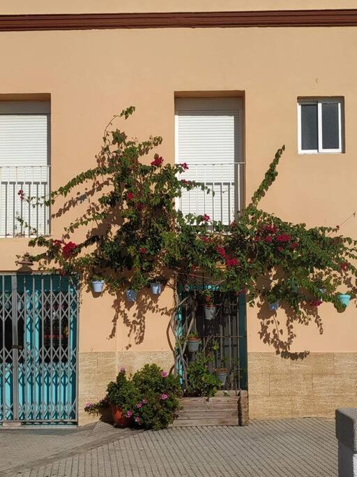 Apartamento Las Canastas Cadiz Centro ภายนอก รูปภาพ