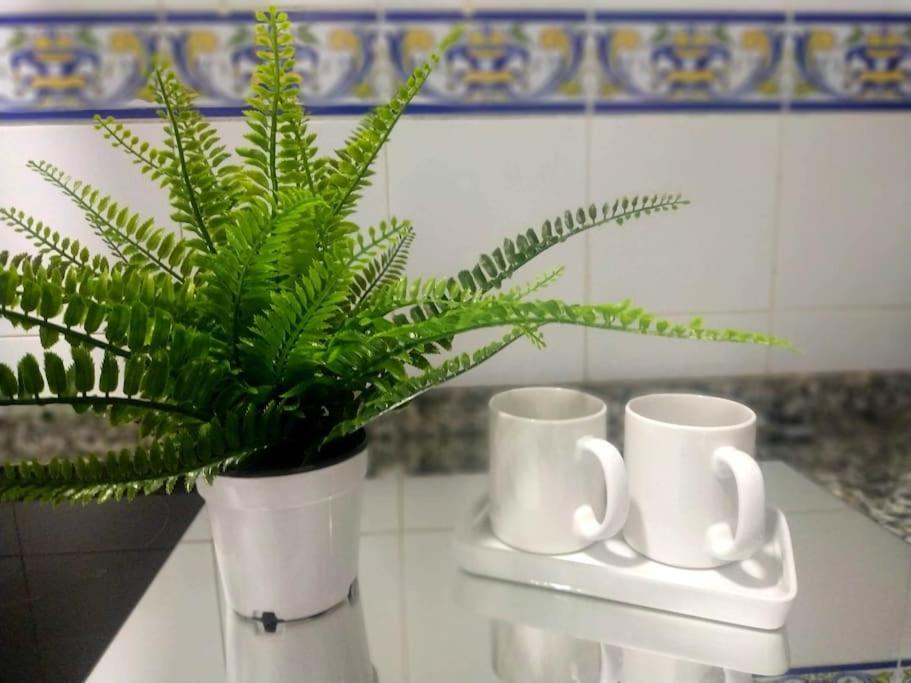 Apartamento Las Canastas Cadiz Centro ภายนอก รูปภาพ